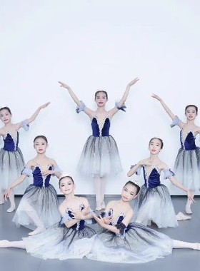 儿童芭蕾舞裙女宝蓝色渐变蓬蓬长纱裙芭蕾舞蹈服TUTU裙团体演出服