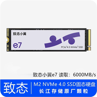NVMe M.2 4.0 长存原厂颗粒 电脑SSD固态硬盘 致态小翼e7 500G