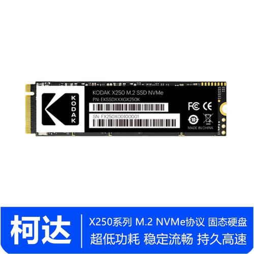 柯达X250M.2NVMe256GSSD