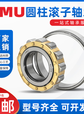 浙江TMU圆柱滚子轴承RN RNU NUP310 311 312 313 314 315EM