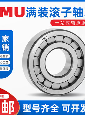 国产TMU密封圆柱滚子轴承NCF204