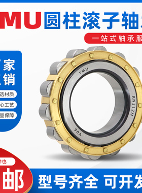 浙江TMU圆柱滚子轴承RN RNU NUP202 203 204 205 206 207EM