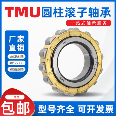 浙江TMU圆柱滚子轴承RN RNU NUP304 305 306 307 308 309EM