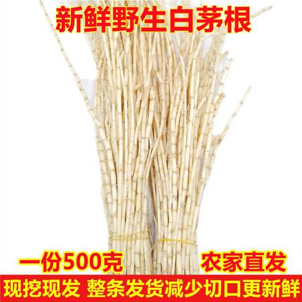 新鲜白茅根配竹蔗马蹄荸荠广东糖水凉茶野生丝毛根火锅底料食材黄