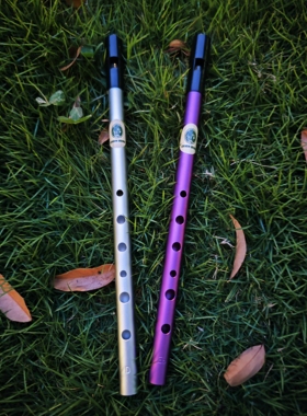 芬尼根 青鸟系列(Cyanbird) 标准爱尔兰哨笛 锡笛 新手入门推荐