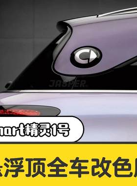 一路美精灵1号悬浮顶全车改色膜