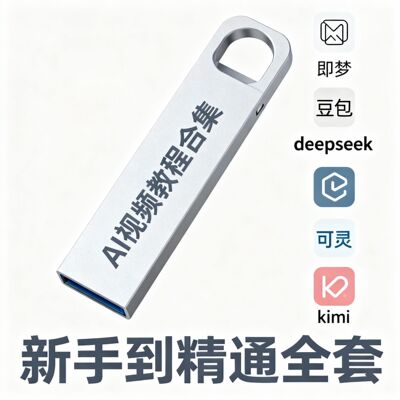 新手入门精通AI视频教程U盘