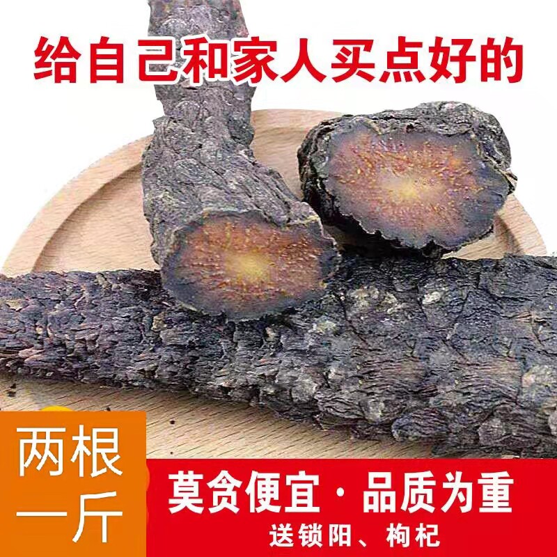 内蒙古特级阿拉善正品油肉苁蓉500g整根配锁阳泡酒料药材养生