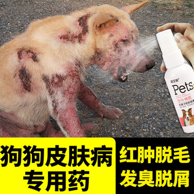 宠物猫狗狗皮肤病外用药