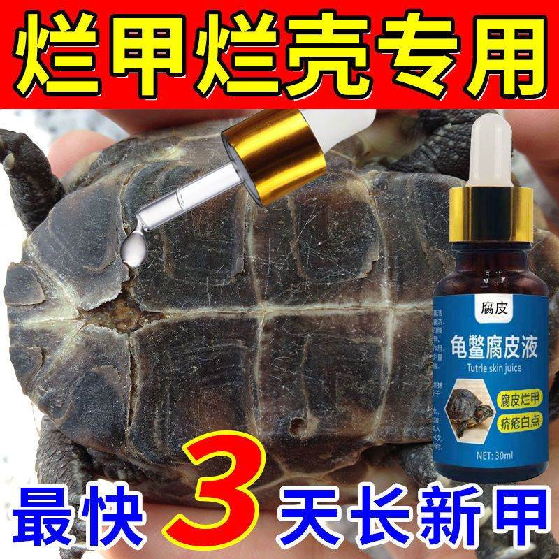 乌龟烂甲药烂壳腐甲药治疗乌龟腐皮腐甲烂甲咬伤乌龟腐皮净外用液