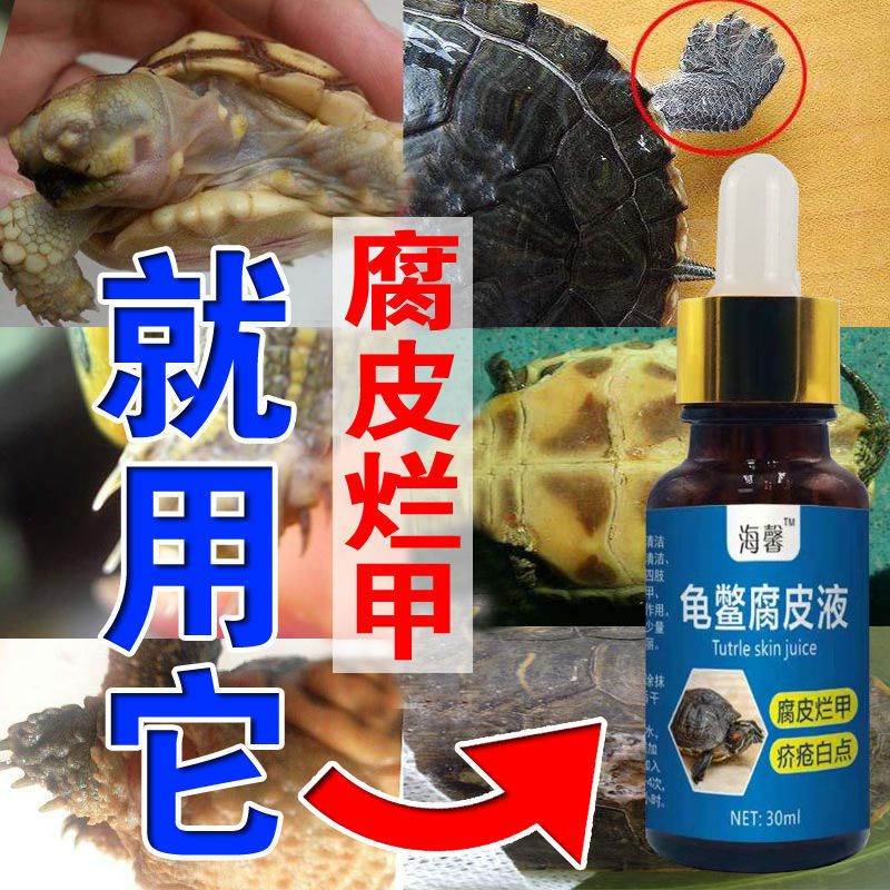 龟鳖腐皮液护龟液专治腐皮烂甲疥疮白点预防疾病烂肉腐甲日常护理