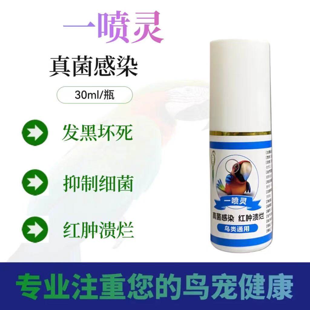 鹦鹉爪子细菌感染爪子红肿溃烂发黑坏死指尖发黄伤口愈合鹦鹉消肿