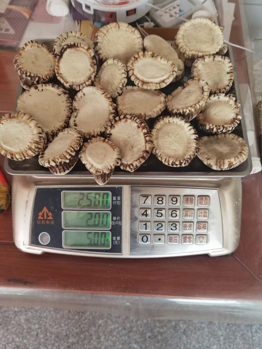 东北鹿乡梅花鹿鹿角帽托盘粉包正品。带打粉