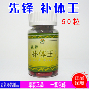 鸽子 先锋 提速 呼吸道 补体王 信鸽 赛鸽 比赛专用 紫胸 软脚
