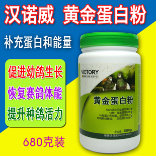 信鸽汉诺威鸽子汉诺威蛋白粉 蛋白质益生菌促生长/氨基酸/包邮