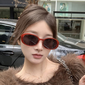 美式 时髦椭圆型高级感个性 太阳镜女潮辣妹气质显脸小防紫外阳墨镜