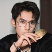 王鹤棣同款 金属双梁超轻眼镜复古蛤蟆镜防蓝光学生近视镜可配度数