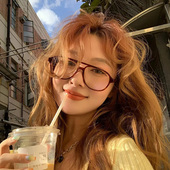 小红书同款 复古双梁椭圆防蓝光眼镜女气质大框显脸小防雾近视镜男