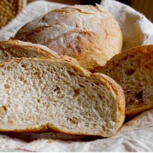 冷冻全麦面包无添加复烤即食像现烤健康早餐家庭早餐明祖面包