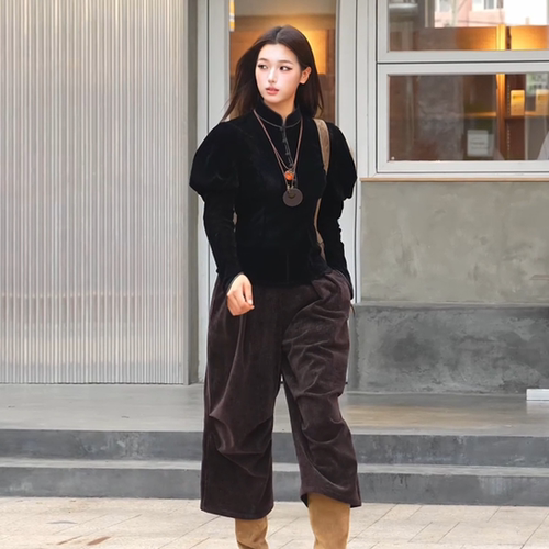 S133-丝绒立领泡泡袖上衣黑棕色女装春秋长袖高级打底