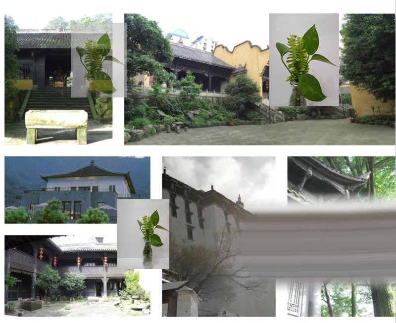 温泉度假村度假酒店民居改造民宿别墅设计方案规划效果图平面布局