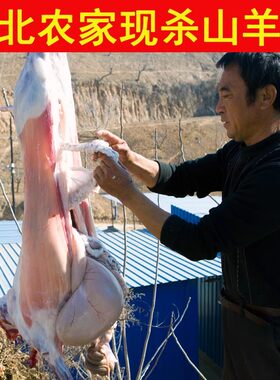 【顺丰包邮】陕北农家现杀横山羊肉新鲜羊排羊腿羊蝎子40斤整只