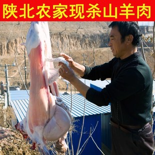 【顺丰包邮】陕北农家现杀横山羊肉新鲜羊排羊腿羊蝎子40斤整只