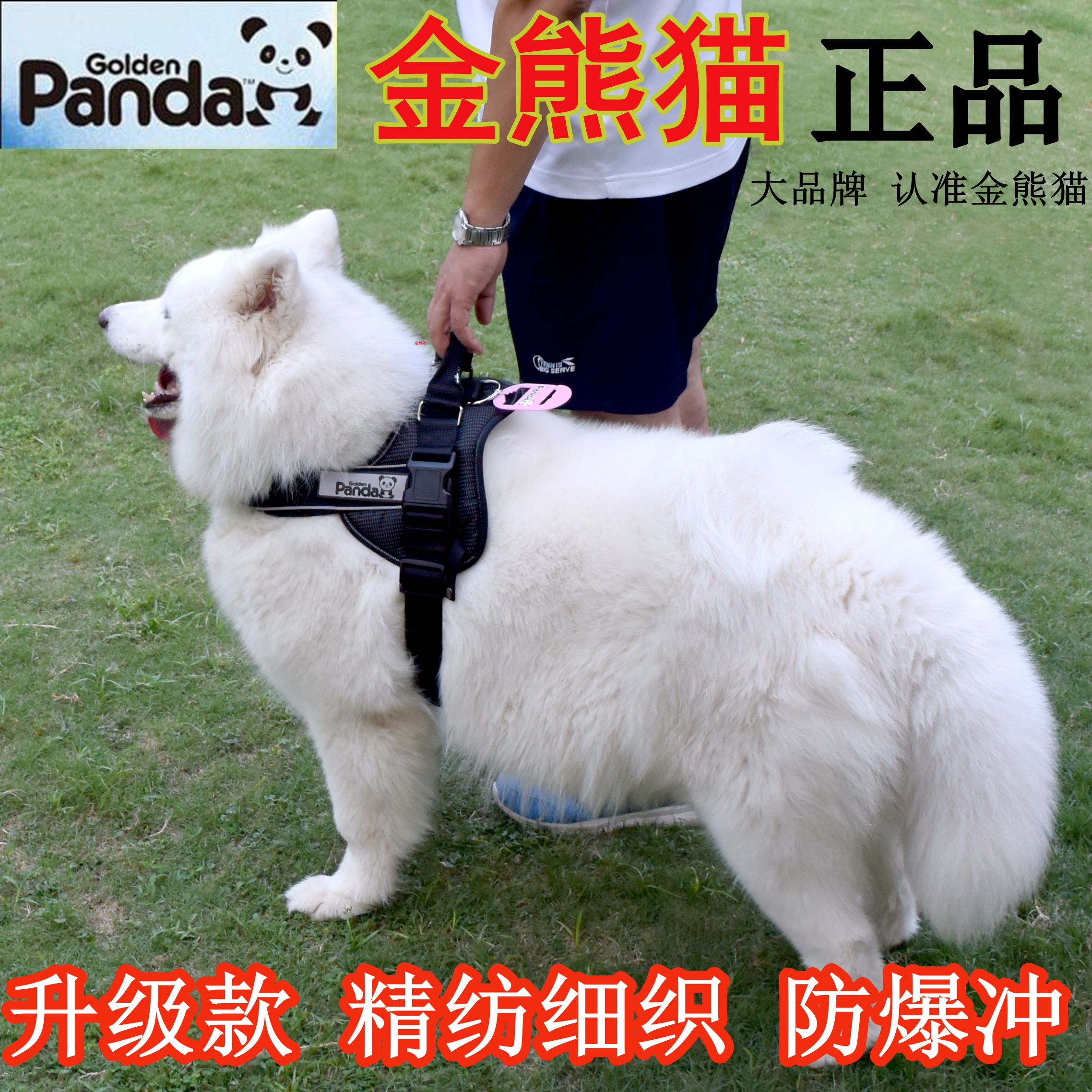 狗狗牵引绳中大型犬背心式项圈松狮萨摩耶金毛拉布拉多胸背带狗绳