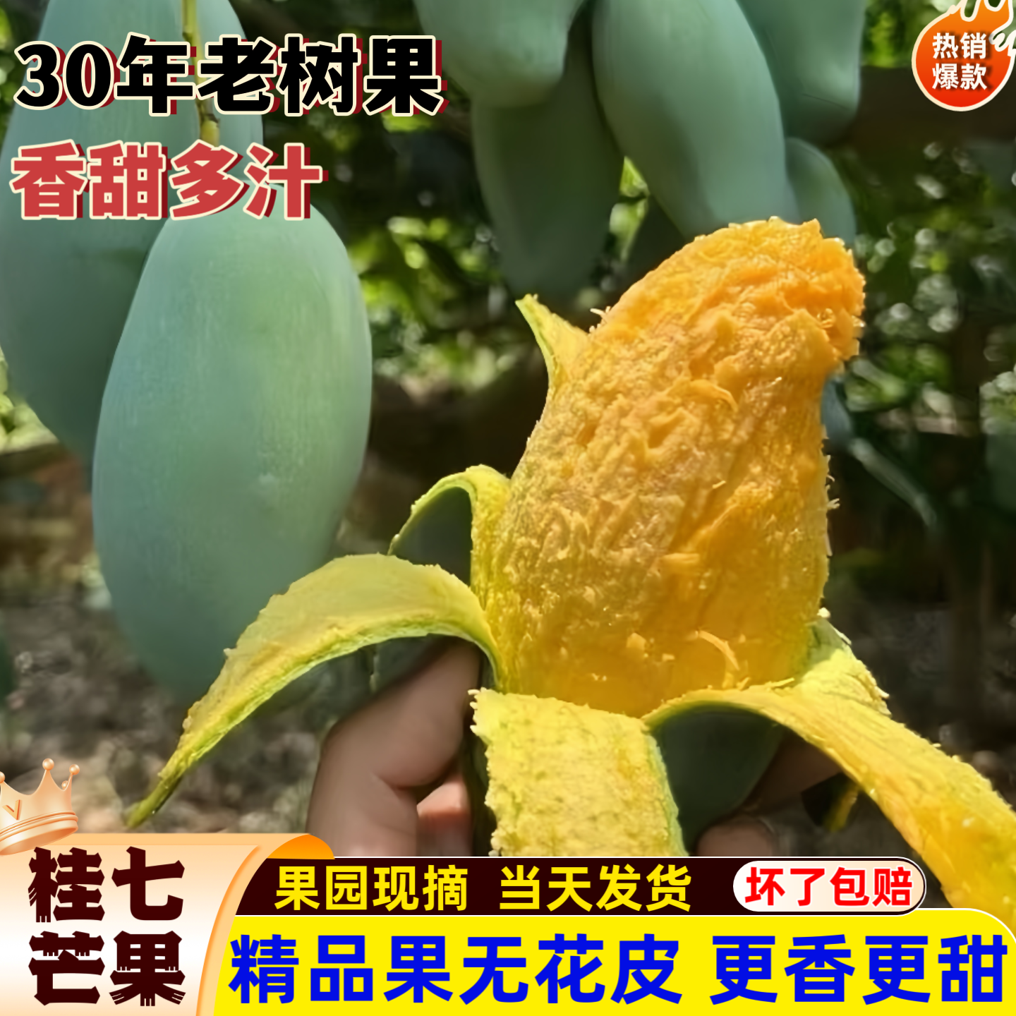 田东桂七芒果新鲜香芒广西芒果正宗百色直发鲜甜多汁应季水果