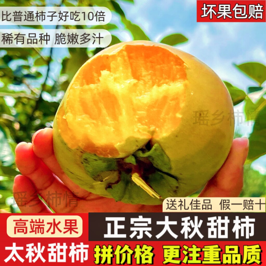 太秋甜柿正宗太秋脆柿子大秋甜柿广西脆柿子9斤水果硬柿子礼盒装