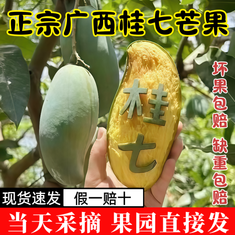 广西桂七芒果正宗百色田东直发新鲜香芒果应季水果鲜甜多汁