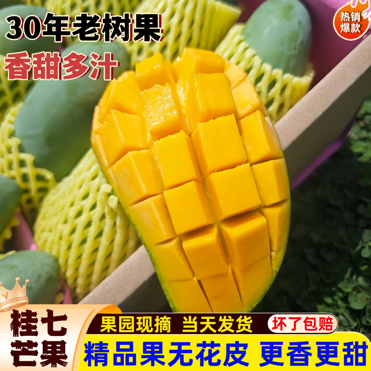 田东桂七芒果新鲜香广西芒果正宗百色直发鲜甜多汁应季水果