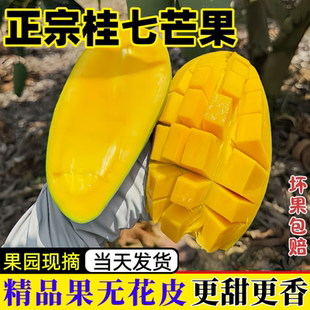 正宗广西桂七芒果百色田东直发新鲜香芒果应季水果香甜多汁