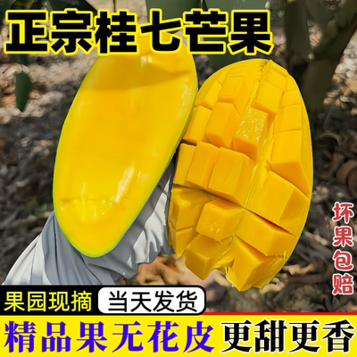 正宗广西桂七芒果新鲜果香甜多汁