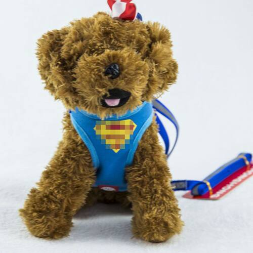 HONGHONGPET牵引带胸牵引绳拉绳