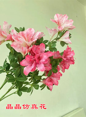 仿真杜鹃花假花绢花树枝