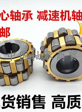 减速机整体偏心轴承50752202 70752202  80752202 100752202K 130