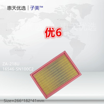 过滤空气滤芯子美净化纳智捷