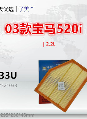 B033U适配宝马520i 523i 525i 530i 630i 2.2L 2.5L空气滤芯