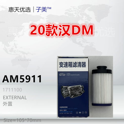 子美净化变速箱滤芯汉DM