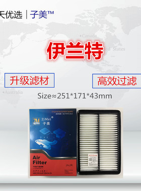 H105P适配伊兰特 赛拉图 狮跑 途胜 中华V5 和悦 H530空气滤芯