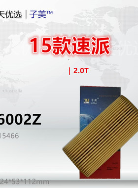 W6002Z适配科迪亚克 明锐 速派 Macan迈凯 2.0T国五机油滤芯