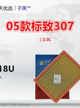 P118U适配标致307 308 408 凯旋 世嘉 C4 毕加索 2.0L空气滤芯