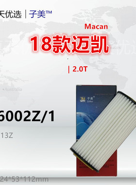 W6002Z/1适配18款迈凯Macan 卡宴 科迪亚克 速派 2.0T机油滤芯
