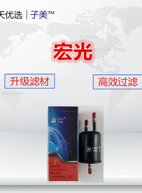 适配五菱宏光宝骏汽滤汽油滤芯
