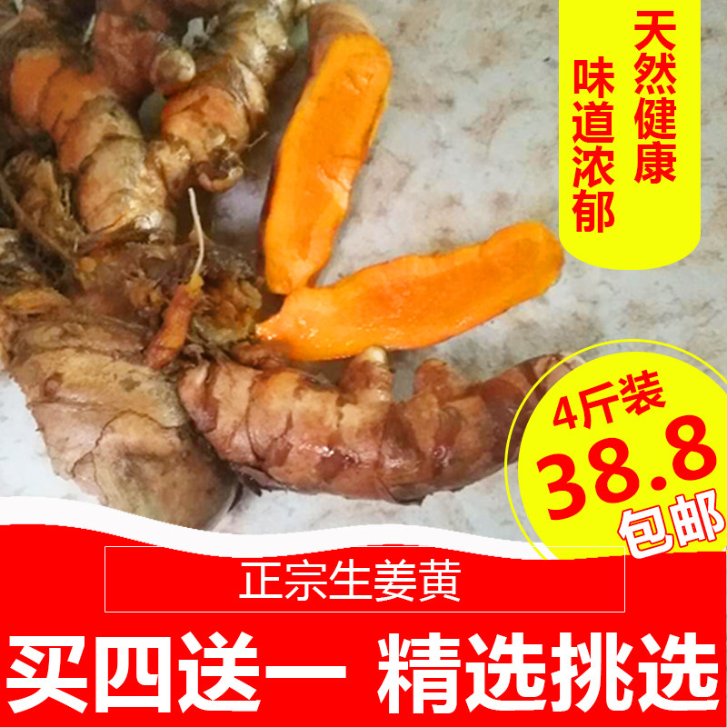 【现挖现发】正宗姜黄 新鲜野生咖喱饭料产后黄姜五色染色5斤包邮