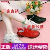 2024真皮妈妈鞋 软底软面百搭跳舞鞋 柏文制鞋 森柏文女鞋 广场舞鞋