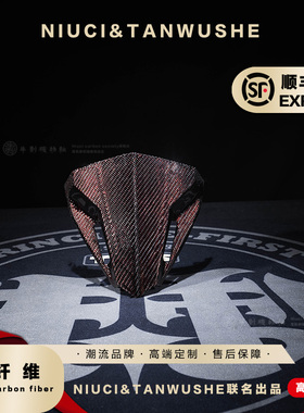 三阳XS150T-10A DGR二代原厂改装红丝碳纤维前面板