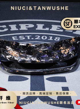 九号机械师Mmax90110P大片锻造紫金箔碳纤维内壳黑件尾灯罩