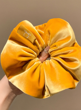 黄色丝绒头花大肠发圈女秋冬韩系扎头发丸子头发绳高级感头绳发饰